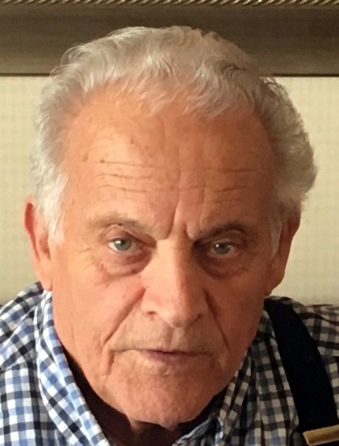 Obituary of Luigi Maggio