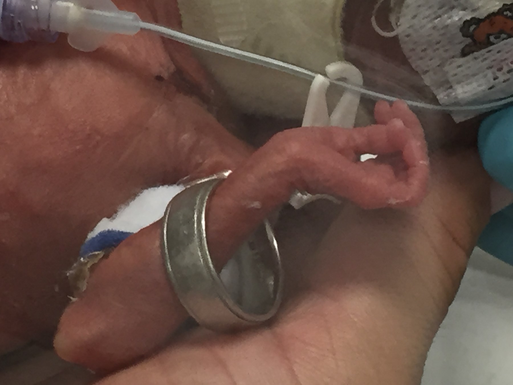 Obituary of Abigail Marie Torres