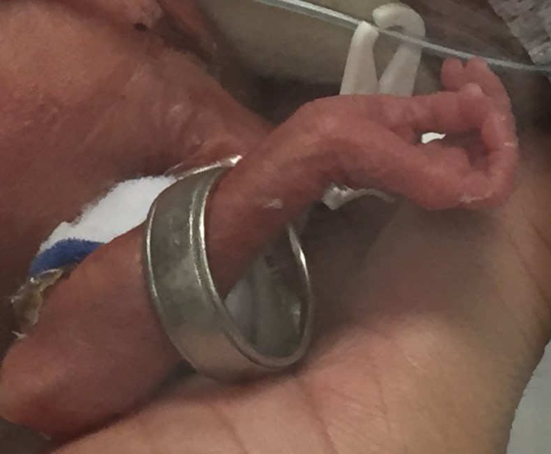 Obituary of Abigail Marie Torres