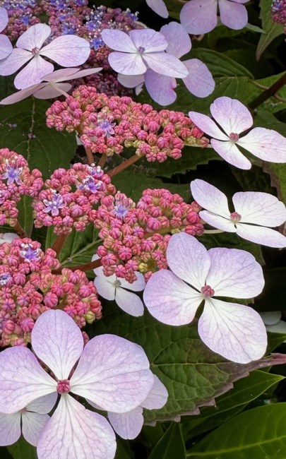 Obituary of Nathaniel Damian Sabastian Whonnock