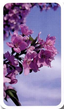 Obituary of Catherine S. Lindquist