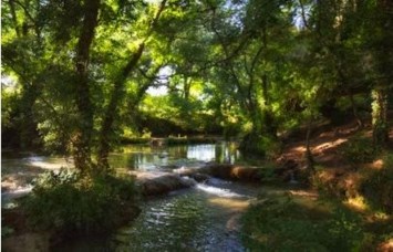 Obituary of Craig Anthony Harris