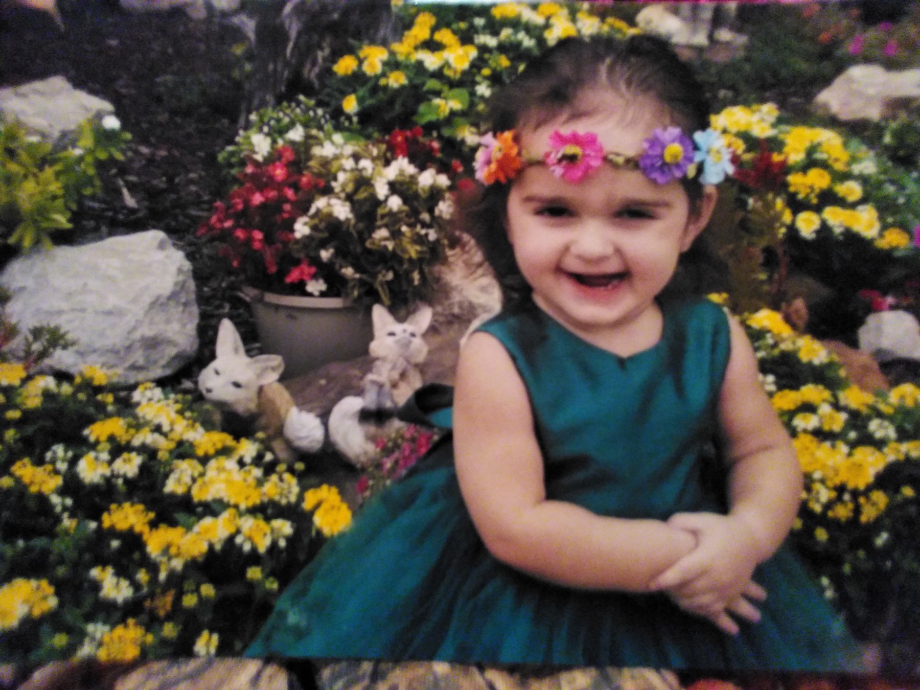 Obituary of Riley Lynn Nolan