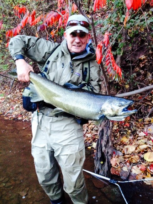 Obituary of Peter Bjorkman