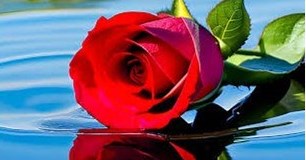 Obituary of Patricia E. Wood