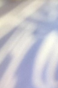 Alonzie Ratchford, Jr. Obituary - Timonium, MD