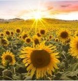 Obituary of Donna Beryl Miranda