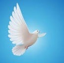 Obituary of Peggy Jean McFadden