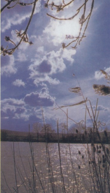 Obituary of Donald J. Seay