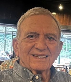 Obituary of Lew A. Sirico