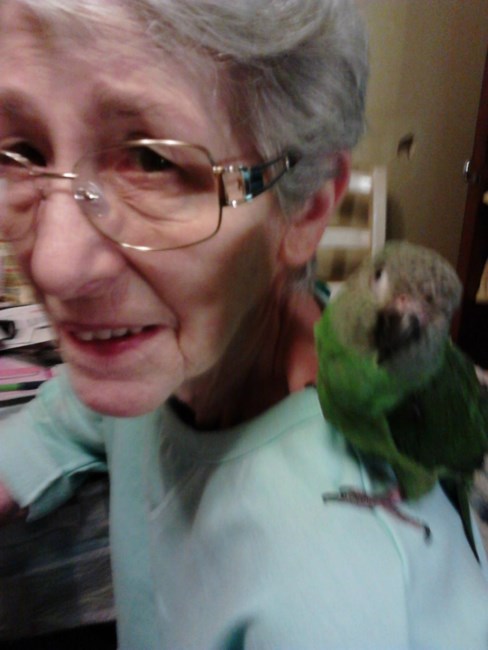 Obituary of Barbara Ann Zabodyn