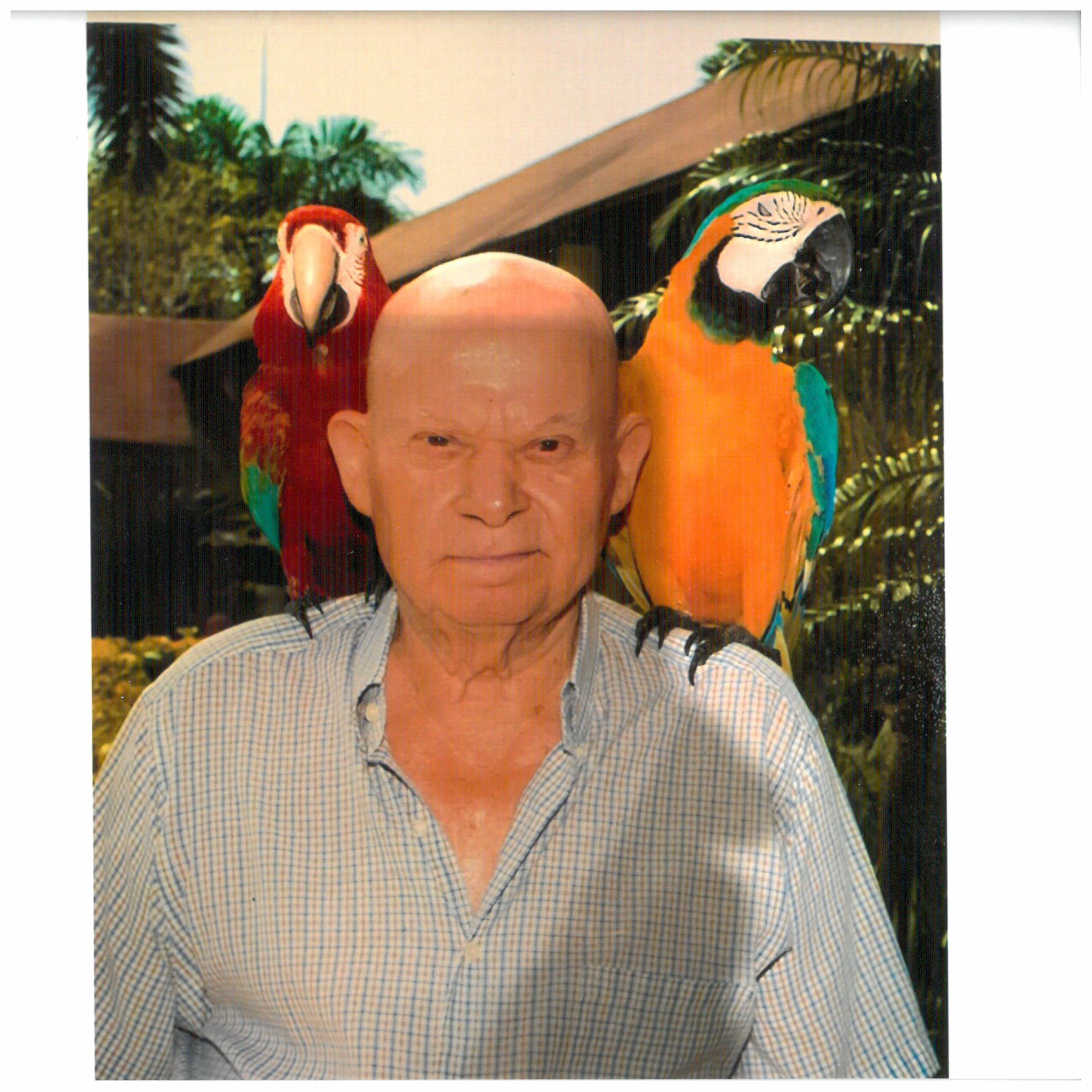 Obituary of In Loving Memory of Peter Mourikis