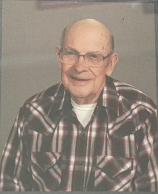 Obituary of Paul Alfred Viens