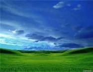 Obituary of Concepcion Barrera Zavala