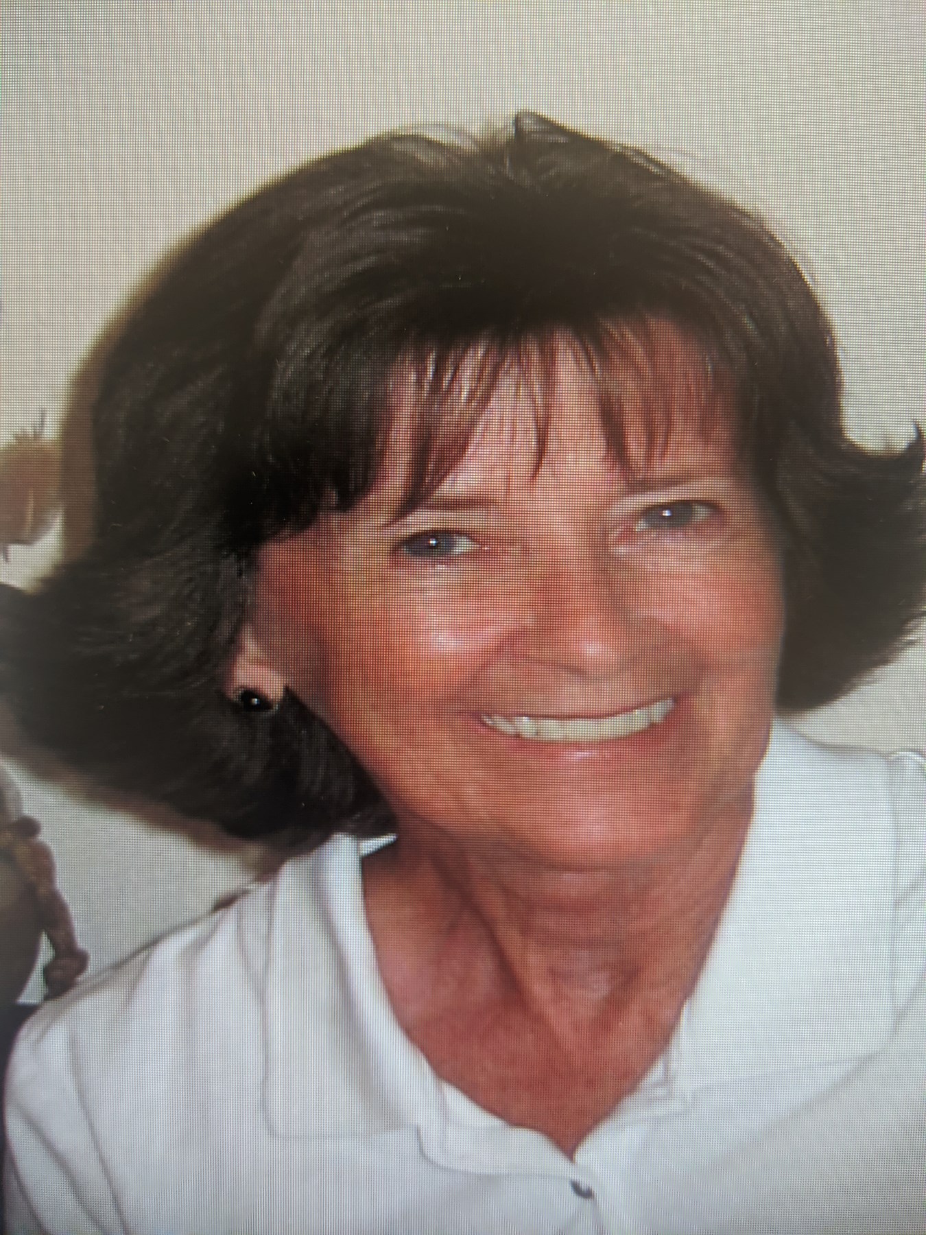 The Gleaner Obituaries Henderson, Ky: Preserving Our Memories - sgy1fpa