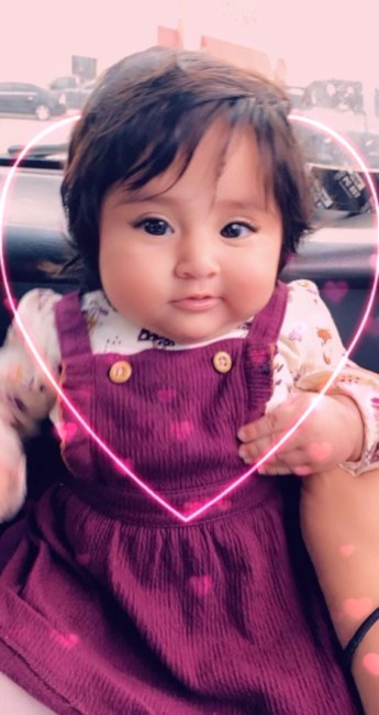 Obituary of Rebeca Nicole Carmona Molina