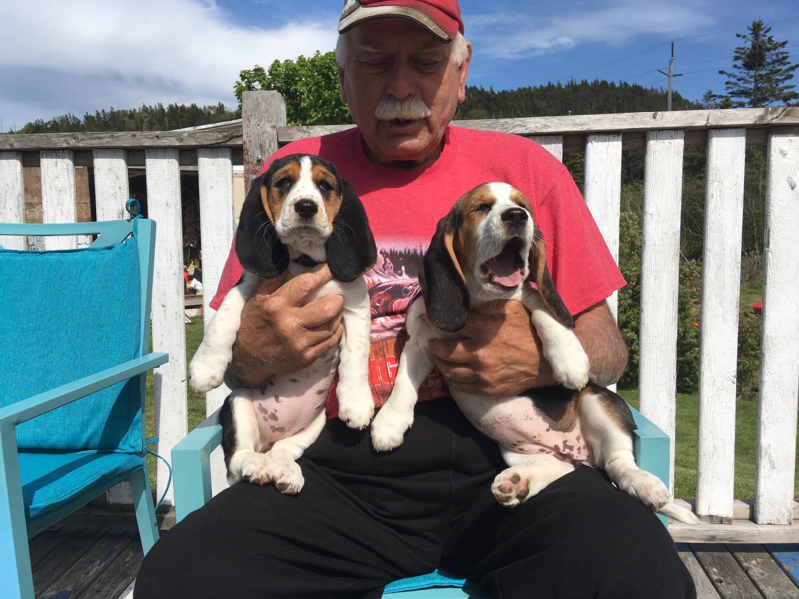 Obituary of Percy Louis Baker