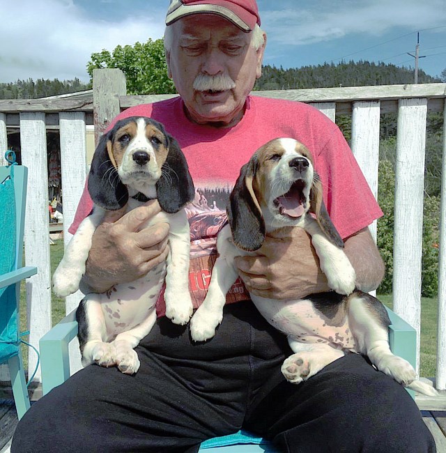 Obituary of Percy Louis Baker