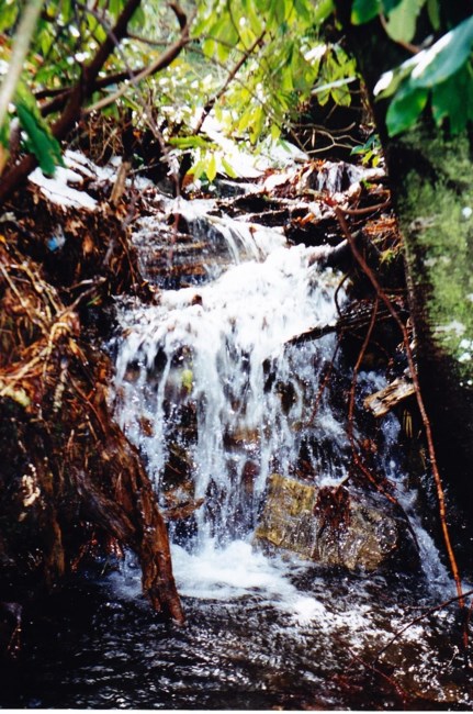 Obituary of James McCandless