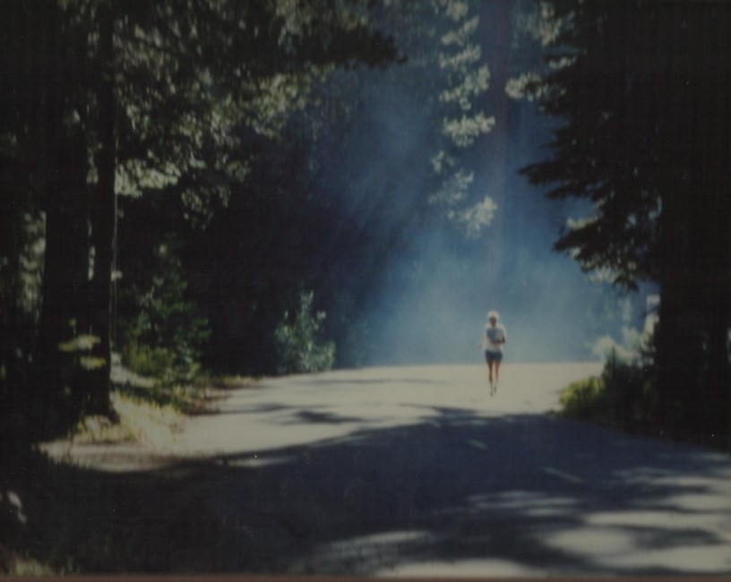 Obituary of Myron D. Brown