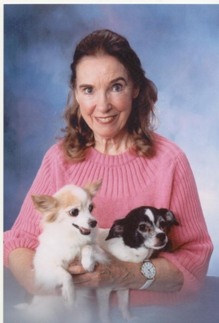 Obituary of Dorothy S. Holliday
