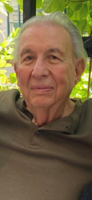 Obituary of Anthony Vincent Riggi