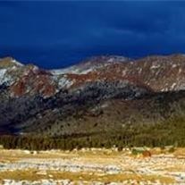 Obituary of Rickie Dee Black