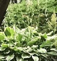 Christopher Rutherford Obituary - Kamloops, BC