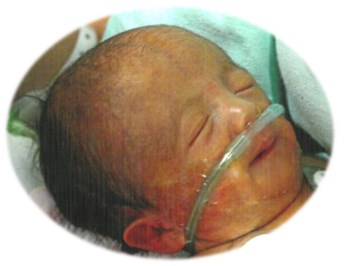 Obituary of Haven Grace Bowdoin