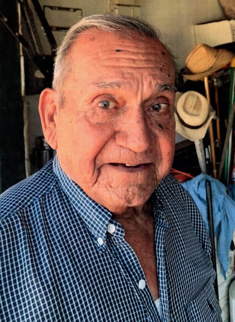 Obituary of Mike D. Delsi