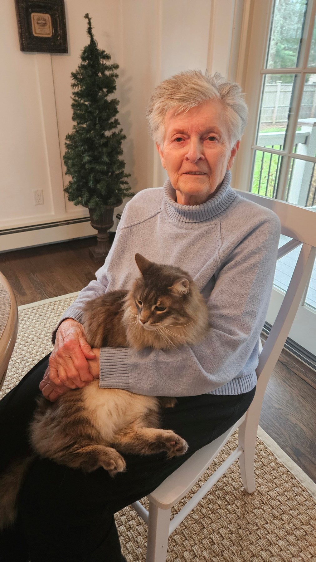 Obituary of Patricia Ann Ciolfi