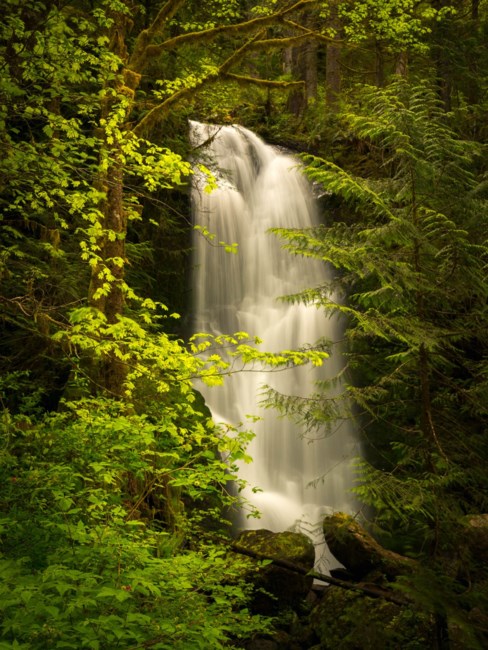 Obituary of DeWayne Charles Cody