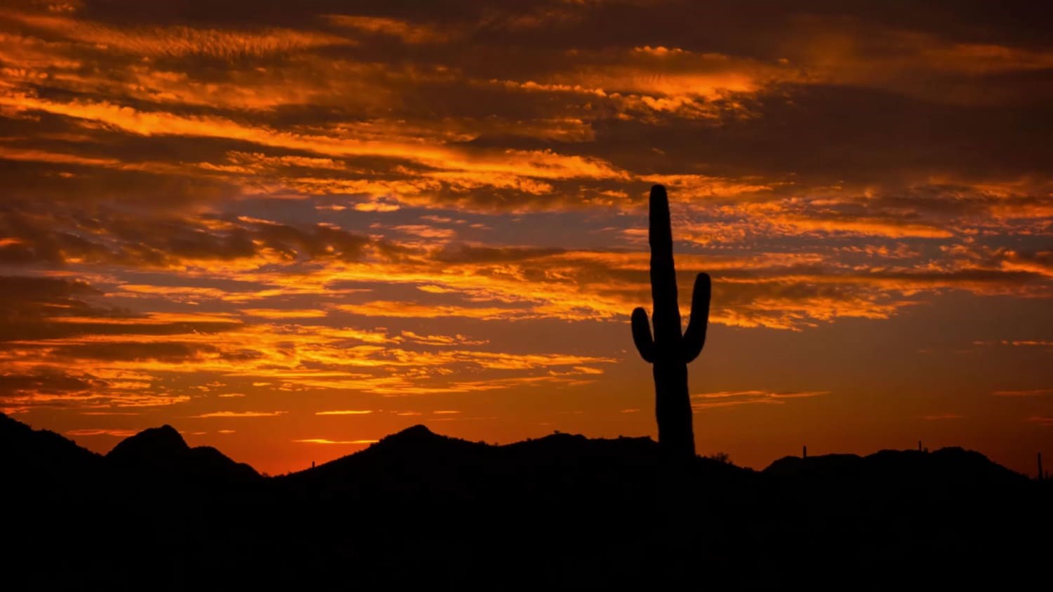 Obituary of Mark Joseph Knapp