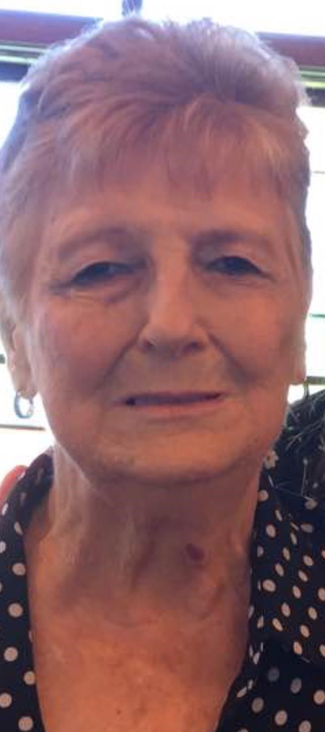 Obituary of Mary Ann Doss Johnston Antley