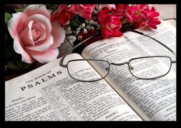 Obituary of Joyce Holland