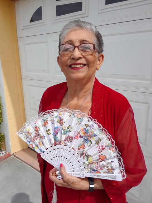 Obituary of Luz M Vazquez Larrauri