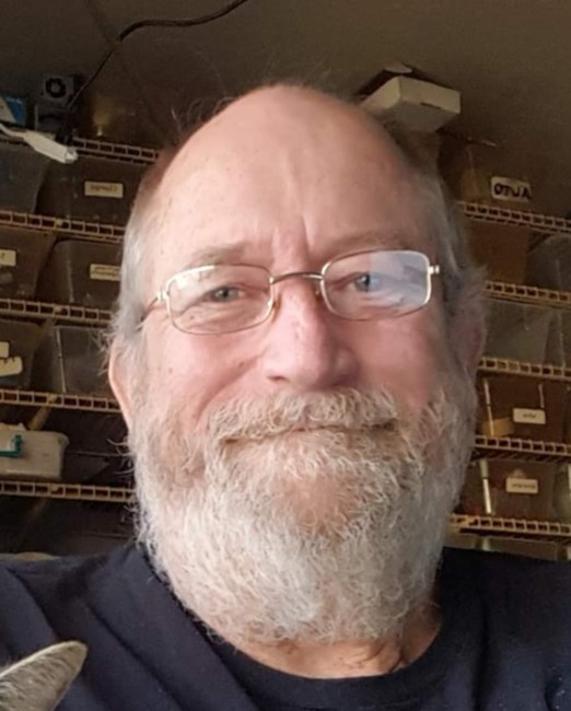 Obituary of Vincent Paul McCormack Jr.