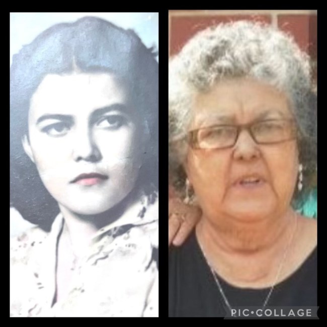 Obituary of Alicia Olga Herrera