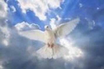 Obituary of David Lee McAllister