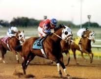 Obituary of Harold L. Bray