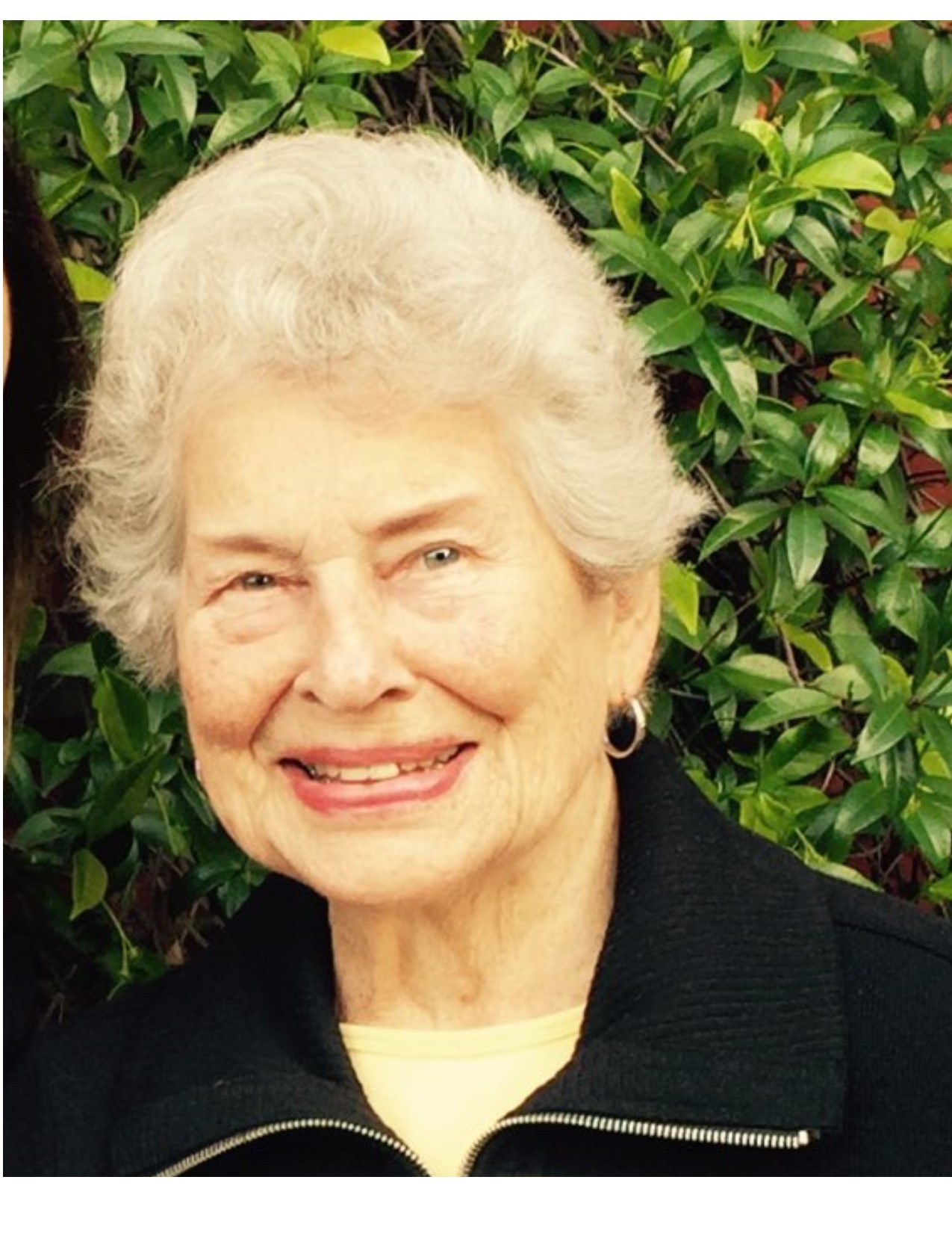 Obituary of Virginia Lee Herrington