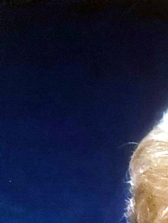 Dallas Lester Judy Lester Austin Obituary - Dallas, TX