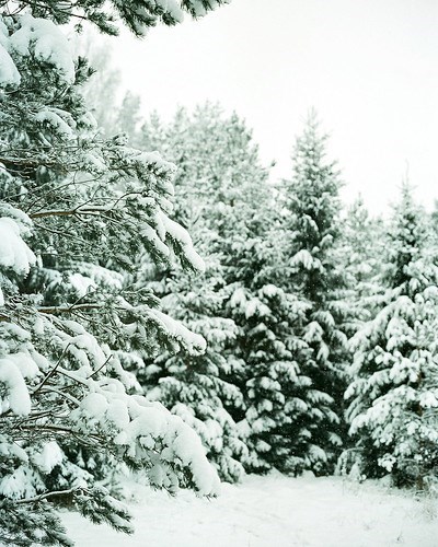 Obituary of Wayne Frank Sharp