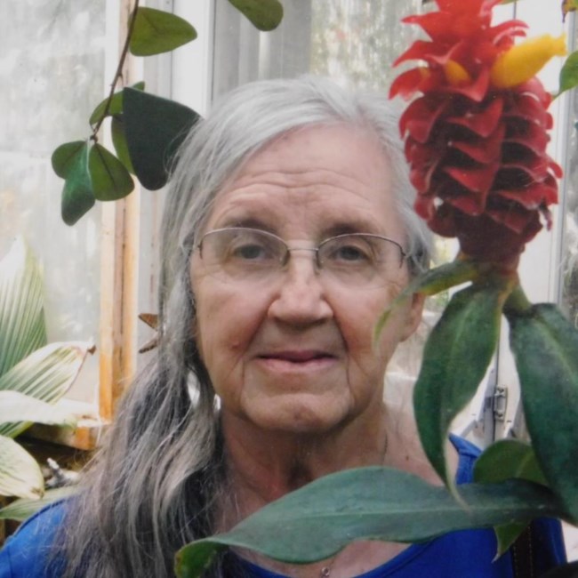 Obituary of Merilyn Delores Ault