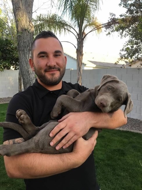 Obituary of Todd Sean Elias Jr.