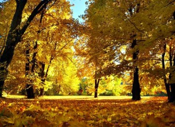 Obituary of Joe Massie