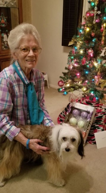 Obituary of Patricia Ann Graber