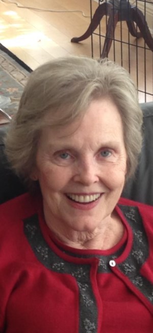 Obituary of Sue Ann Croskery