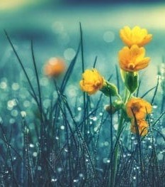 Barbara Rasmussen Obituary - Vancouver, BC