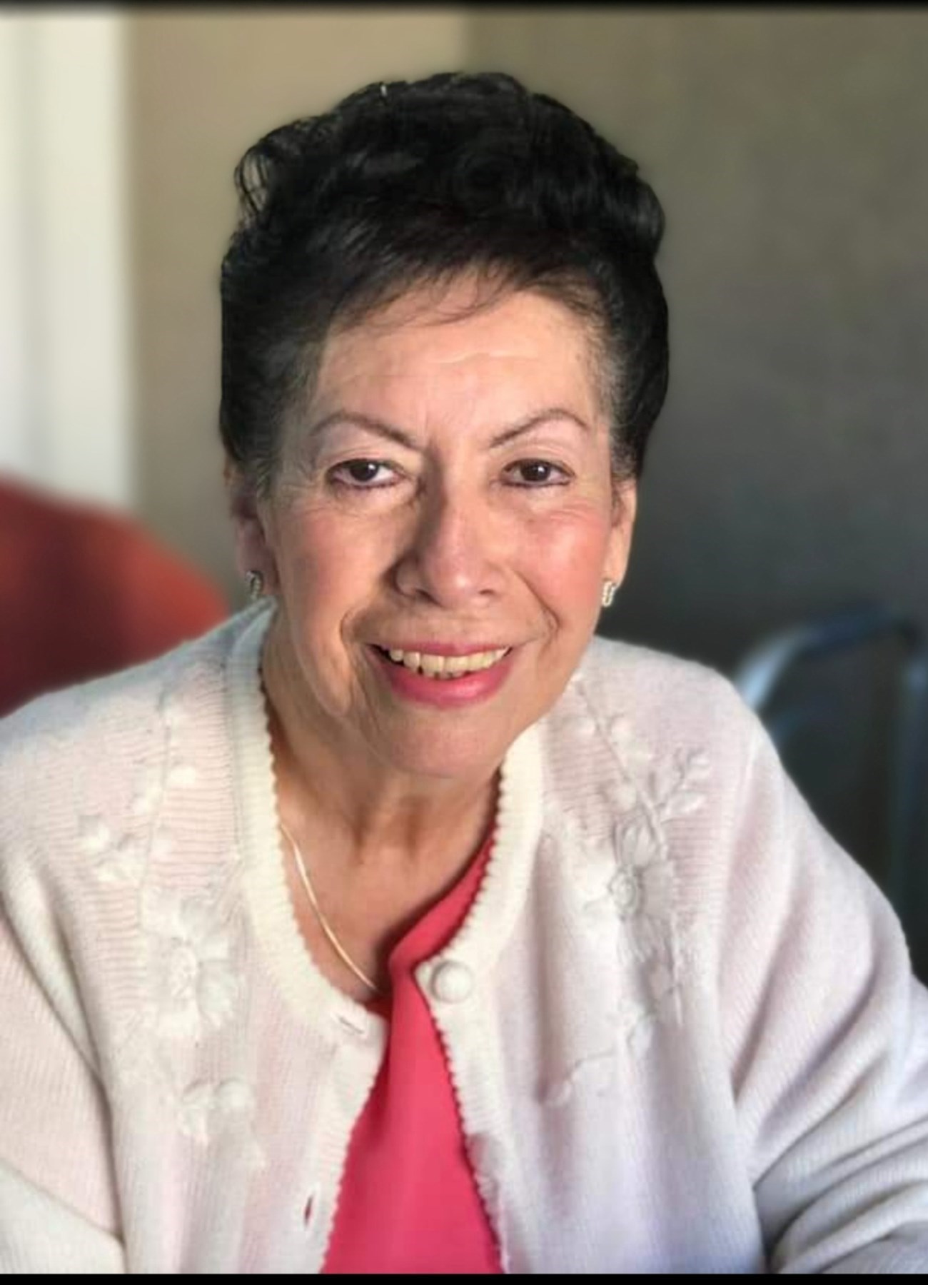 Obituary of Rosa Alamillo Vazquez